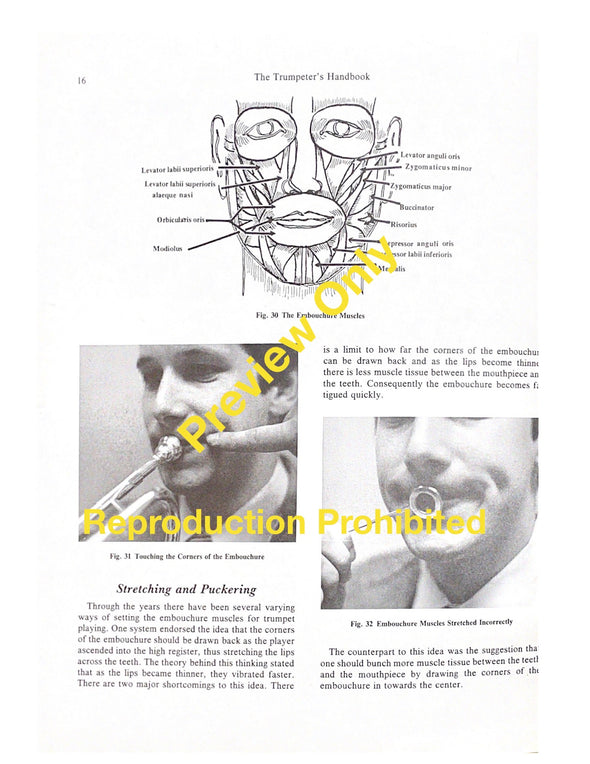 The Trumpeter's Handbook, A Comprehensive Guide to Playing and Teaching the Trumpet. by Roger Sherman. Page 16 embouchure